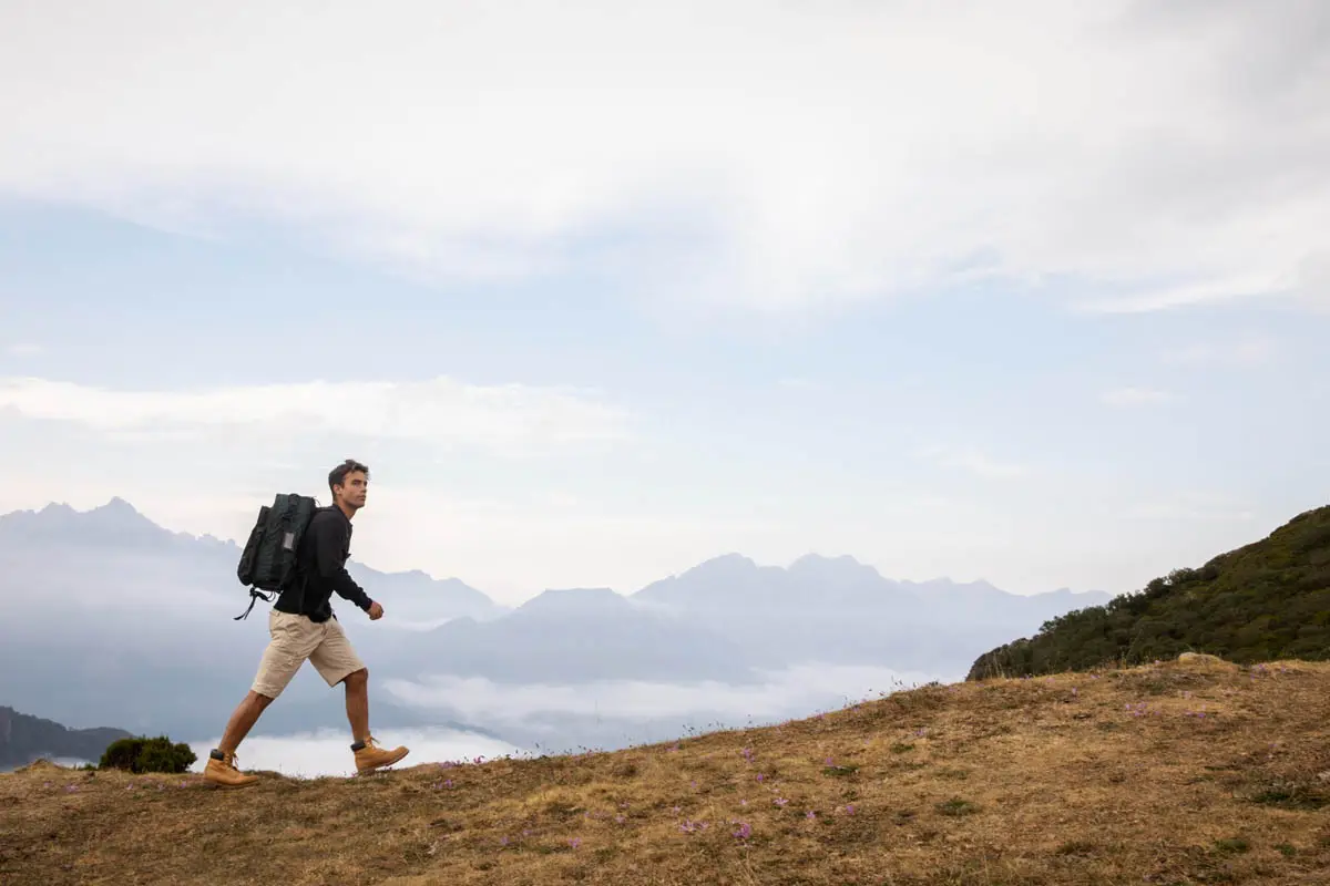 Read more about the article Recent trends in storytelling